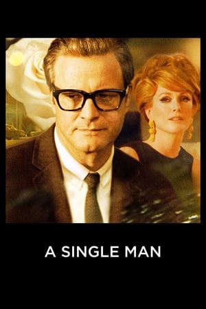 A Single Man 2009 Dual Audio Hindi 480p BluRay 300MB ESubs