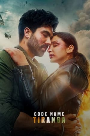 Code Name: Tiranga 2022 Hindi Movie DVDScr 720p – 480p