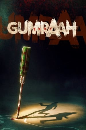 Gumraah 2023 Hindi Web-DL | 720p | 480p